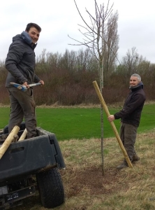 PLANTATION DE FRUITIERS