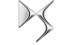 DS logo